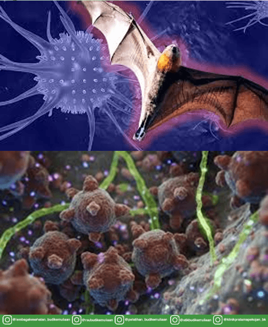 Informasi Rumah Sakit Budi Kemuliaan